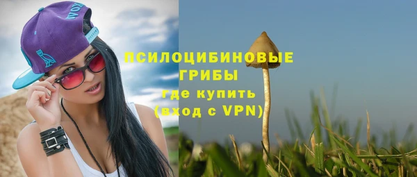 мет Дмитров