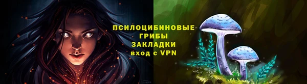эйфоретик Дмитровск