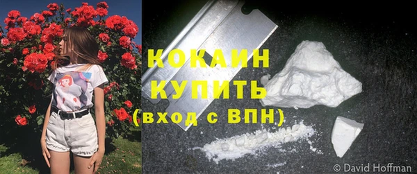 кокс Дмитриев