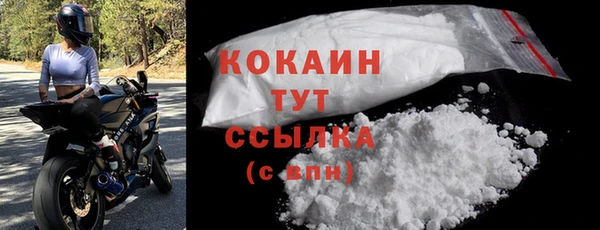 кокс Дмитриев