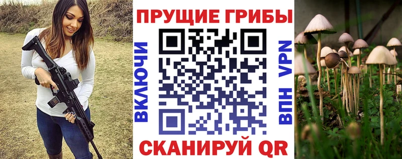 omg сайт  Москва  Галлюциногенные грибы Magic Shrooms 